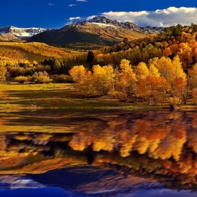 万博体育APP网址